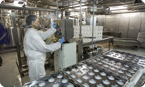Food Beverage Processing Plant